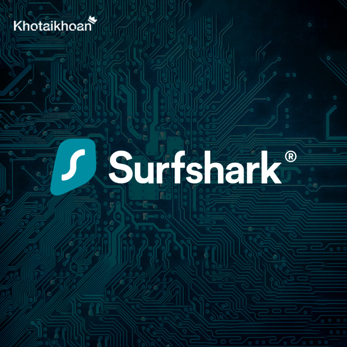 Tài khoản SurfShark